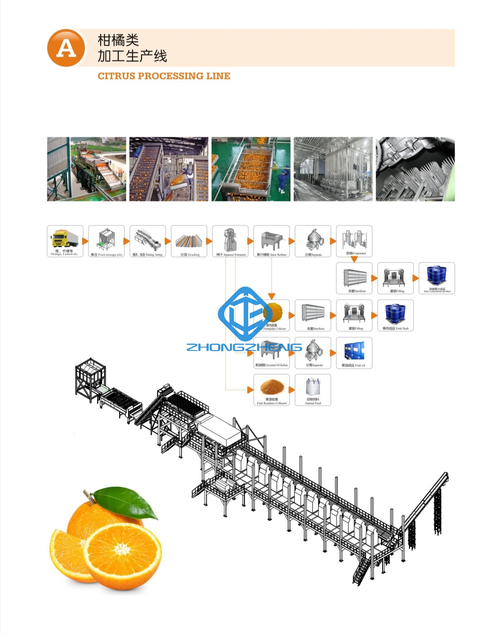 Conew_a цитрусовая линия
