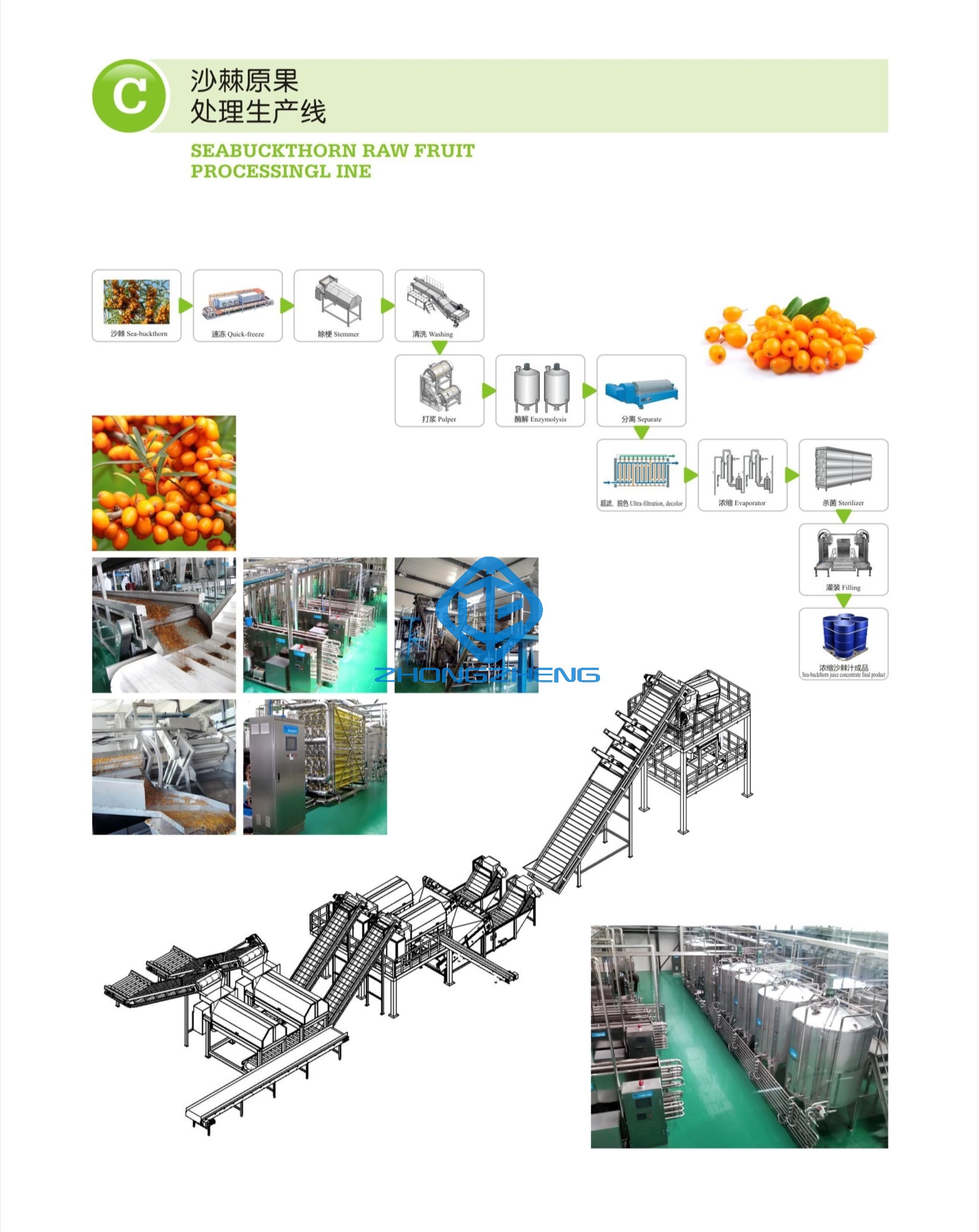 CONEW_C SEABUCKTHTHORN Сырцовая линия