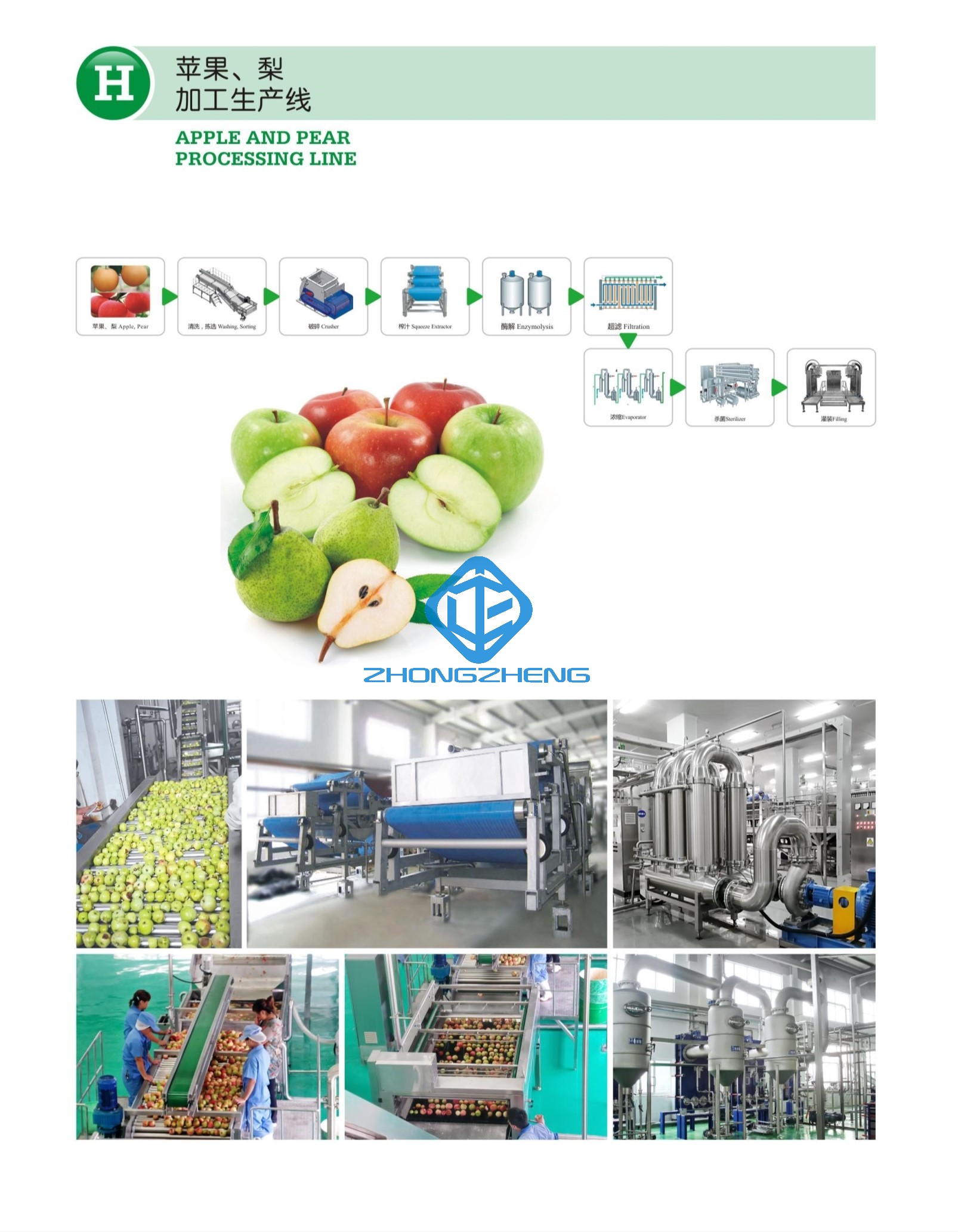 CONEW_H ЛИНИЯ ОБРАБОТКИ Apple и груши